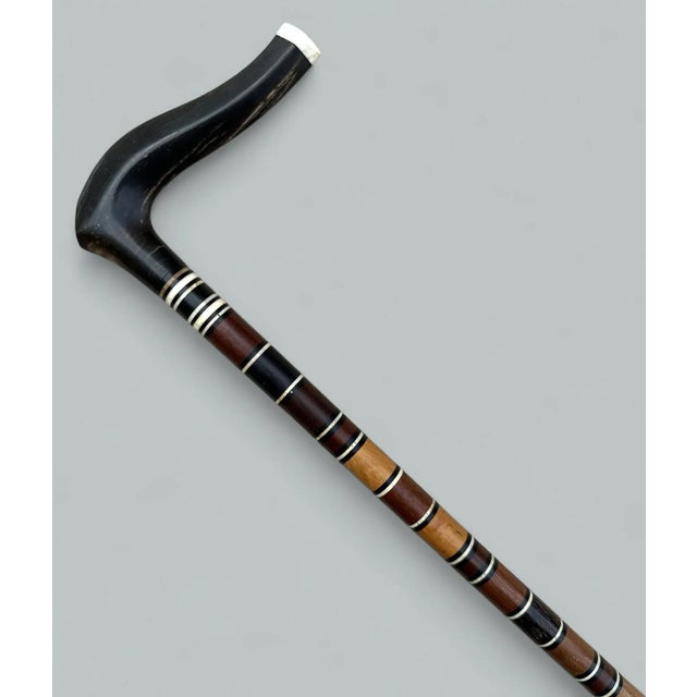 English Antique Ladies Dress Gentlemans Cane Walking Stick Bovine Horn Crook Handle 19Ct For Sale - Image 3 of 7
