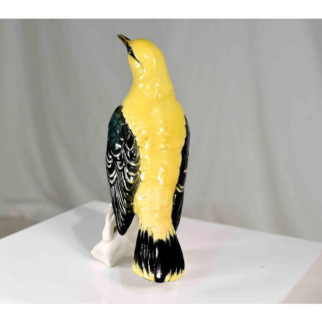 Ceramic Early 20th Century Porcelain Indian Golden Oriole by Karl Ens Volkstedt Germany For Sale - Image 7 of 12