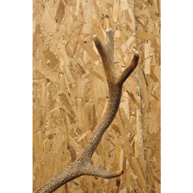 Animal Skin Antique Black Forest Victorian Wall Mounted Taxidermy Large Deer Skull & Antlers For Sale - Image 7 of 17