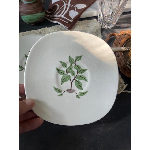 Mid 19th Century Mid Cetury Modern Taylor Smith Taylor Saucer Plates in Coffee Tree Pattern - Set of Seven (7) For Sale - Image 9 of 9