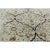 Persian Shiraz Area Rug 6'6"x9'4" For Sale - Image 4 of 11