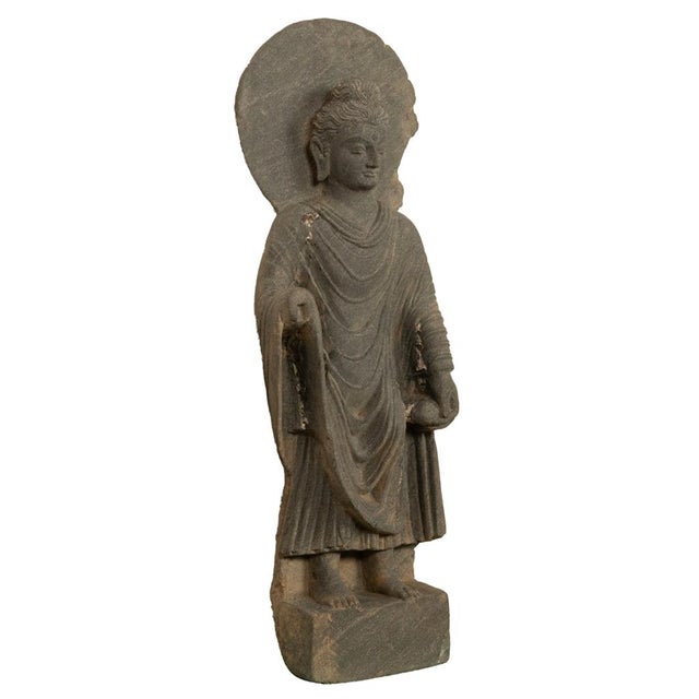 A rare and large ancient majestic carved stone Shakyamuni Buddha Statue, ancient region of Gandhara, Kushan Period,...