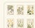 Antique White Atelier Aria Lumae Eugene Grasset Maurice Pillard Verneuil Art Nouveau Botanical Specimen Grid Board Print 60 X 40 For Sale - Image 8 of 17