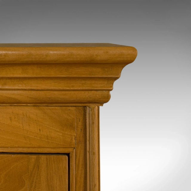 20th Century Victorian Style Ash Wood Large Cabinet For Sale - Image 4 of 8