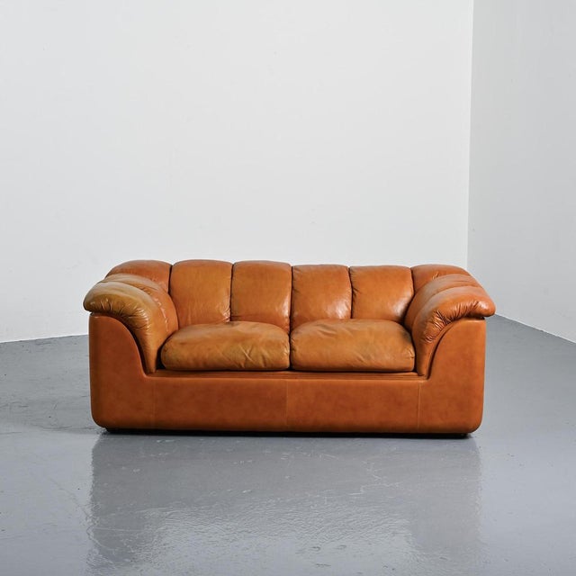 Cocker Leather Sofa by Franco Bresciani for Poltrona Frau, 1970s For Sale - Image 16 of 16