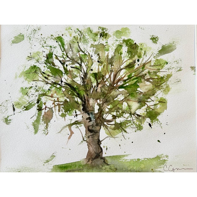 Original watercolor painting of “Avocado Tree”. Unframed. No mat included. Approximately 12 x 9 inches. Painted on...