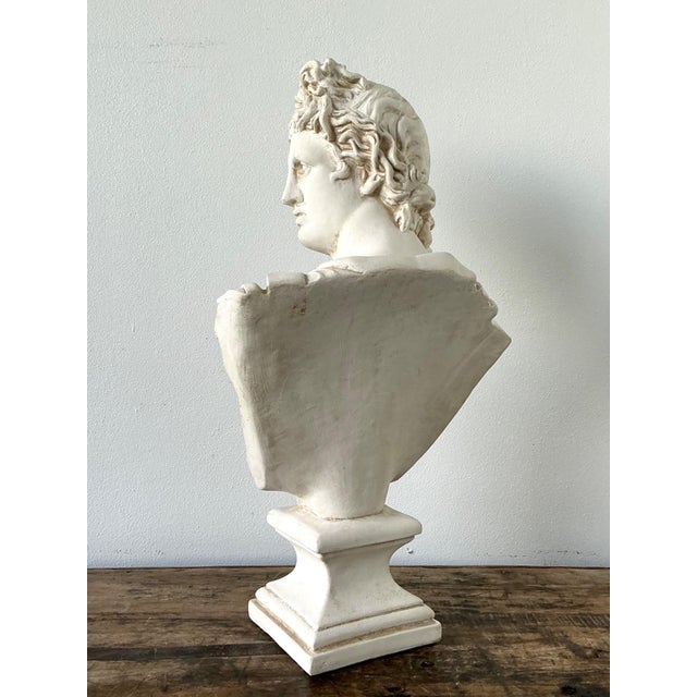 Ceramic Apollo Belvedere Bust Sculpture For Sale - Image 17 of 18