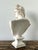 Ceramic Apollo Belvedere Bust Sculpture For Sale - Image 17 of 18