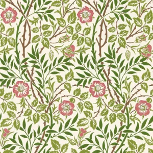 Morris & Co Sweet Briar Wallpaper in Boughs/Rose - a Sample