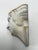Antique White Vintage Plaster Reproductions of 4 Heads From the Wawel Collection, Poland - Set of 4 For Sale - Image 8 of 17