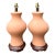 Vintage Terracotta Table Lamps - Pair For Sale