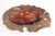 Late 19th Century Meiji Period Japanese Gold and Silver Inlaid Bronze Frog Group (Clip) For Sale - Image 10 of 16