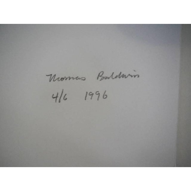 Abstract Tom Baldwin, Japanese Garden, 1996 For Sale - Image 3 of 3