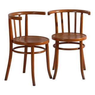 Bentwood Armchairs in the style of Thonet, Central Europe, 1930, Set of 2 For Sale