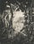 Raphaël Drouart, The Awakening of the Fauns, 1920s, Etching For Sale - Image 3 of 11