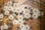 "Autumn Flowers", 1970s Showa Era Japanese Painted Byobu Screen For Sale - Image 9 of 18
