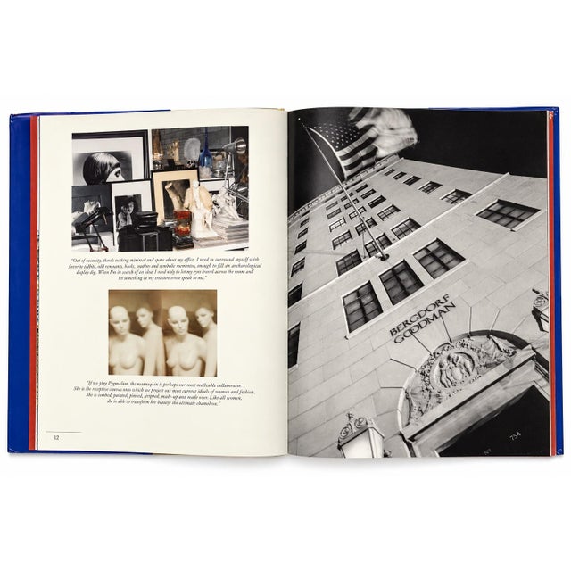 Blue Dreams Through the Glass: Windows From Bergdorf Goodman Assouline 2002 Book For Sale - Image 8 of 14