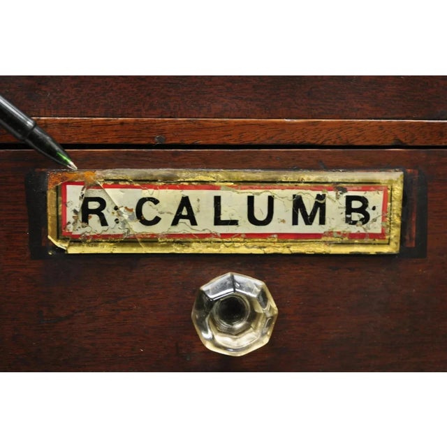 Brown 19th Century Victorian Mahogany Apothecary Medicine Cabinet With 10 Drawers Glass Pulls For Sale - Image 8 of 12