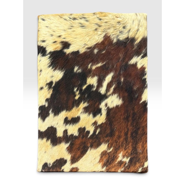 Animal Skin Rare Vintage Southwest Style Sculptural Texas Longhorn & Cowhide 5-Piece Living Room Suite. For Sale - Image 7 of 12