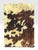 Animal Skin Rare Vintage Southwest Style Sculptural Texas Longhorn & Cowhide 5-Piece Living Room Suite. For Sale - Image 7 of 12