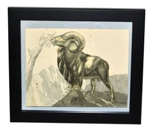 Vintage Framed Sketch Grazing Ram Book Peinture Et Dessins De Paul Jouve, 1930