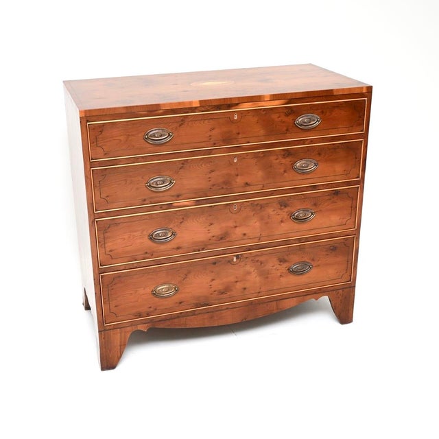Vintage Regency Style Inlaid Yew Wood Chest of Drawers, 1960 For Sale - Image 11 of 11