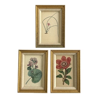 Antique Victorian Botanical/Floral Prints in Gilt Frame (Set of Three) For Sale
