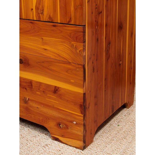 Orange Pine Primitive Mid-Century Vintage Armoire For Sale - Image 8 of 12