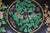 Antique Chinese Kangxi Famille Noire 5 Toed Dragon Dish Bowl 11" For Sale - Image 11 of 18