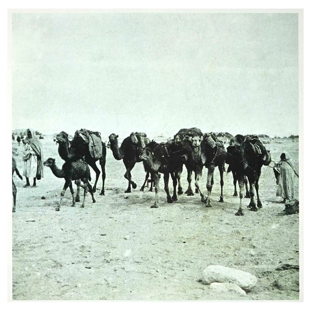 Bettino Craxi, Tunisian Camels, Original Photolithograph, 1990s For Sale