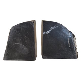 Petrified Wood Bookends For Sale