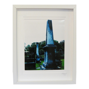 Southern Architectural Travel Photography, Framed by C. Damien Fox 2026