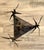 1970s 1970s Brutalist Sculptural Birds in Flight Welded Steel & Glass Coffee Table For Sale - Image 5 of 12