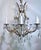 Metal 1910s French Style Brass Chandelier For Sale - Image 7 of 17