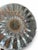 Contemporary Vintage Baccarat "Masséna" Crystal Water Goblets - Set of 6 For Sale - Image 3 of 5