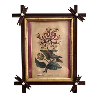 Antique Botanical Frame in a Classic Tramp Art or Folk Art Frame For Sale