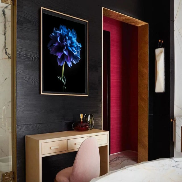 Color photograph of a blue and purple flower on black. Printed on Archival Fine Art Paper.