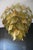 Green and Gold Murano Glass Chandelier with Scale Decoration, 2000s For Sale - Image 4 of 18