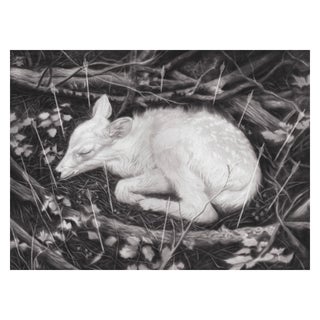 Miss Me by Randy Ortiz | Charcoal and pastel on artboard Depiction of a sleeping white fawn. For Sale