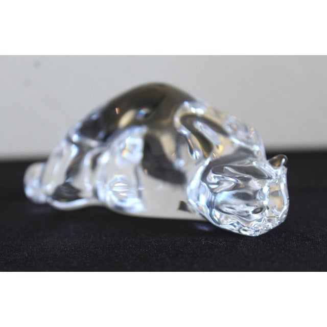 Transparent Vintage Steuben Crystal "Roman Cat" Hand Cooler Paperweight by Susan Smyly, Signed, 1979 For Sale - Image 8 of 10