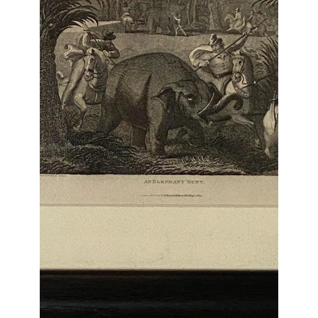 English "Elephant Capture" Engraving England Circa 1820 For Sale - Image 3 of 5