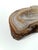Vintage Freeform Ashtray in Natural Carved Agate, 1970s For Sale - Image 11 of 17