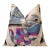 The Geometric Blue Bird Silk Velvet Pillow - 20" X 20" For Sale