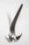 Contemporary Carl Auböck Model #4056 Nickel-Plated Hook For Sale - Image 3 of 12