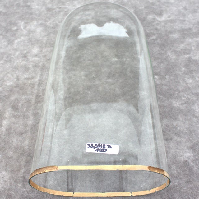 Antique Oval Glass Dome 15.16 X 7.09 X 3.94 Special Size Bell Jar Victorian Era 38,5 X 18 X 10 Cm Unique Collectible Timepiece Home Decor For Sale - Image 9 of 11