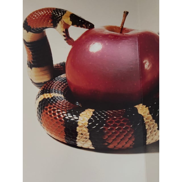 Visionaire 28: Bible 1st. Ed. Numbered 1167/6000 Rare For Sale - Image 9 of 17