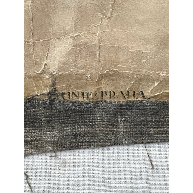 1920’s Dr. Josef Rejsek Original Large Skeletal Study Chart, Prague For Sale - Image 12 of 12