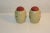 Early 1950s Stangl Pottery Magnolia Pattern Salt and Pepper Shakers- a Pair For Sale In West Palm - Image 6 of 7