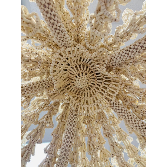 Palacek Seychelles Coco Chandelier in Cream For Sale In Raleigh - Image 6 of 11