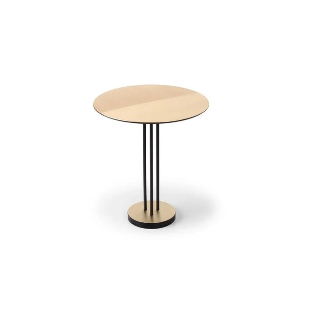 Satin side table by Mingardo Dimensions: D53 x H60 cm. Materials: RAL 9005 black varnished iron structure. Brushed and...